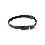 Halskde Sportsheets Sex and Mischief #2