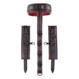 New Comers Rem Sportsheets Pegging Sort #5