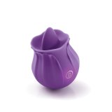 Massager NS Novelties Inya Lilla #1
