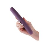 Vibrator NS Novelties Desire Lilla #3