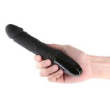 Klassisk Vibrator NS Novelties Renegade Sort #5