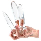 Anal plug NS Novelties Trainer Kit 3 Dele (13 cm) (13,9 cm) (11,3 cm) #2