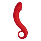 Anal plug Forto Rd #1