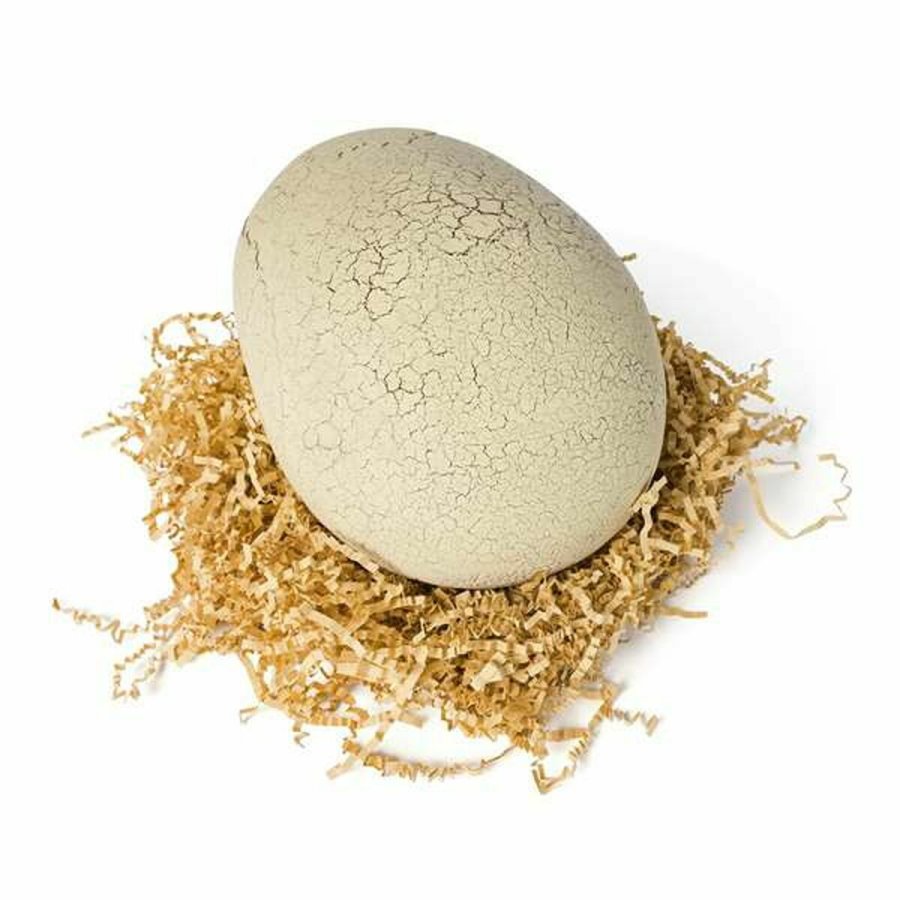 Dinosaur Jurassic World T-Rex #5