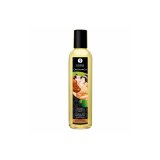 Large Tilfredsstillelse Kit Shunga SWEET KISSES #6