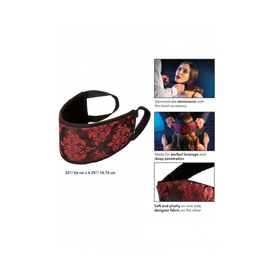 New Comers Rem Scandal #5