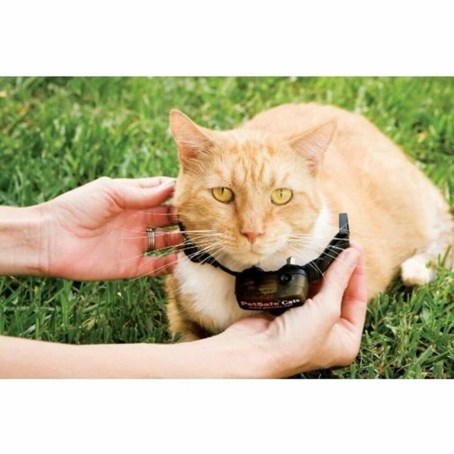 Kat krave PetSafe Prf-3004xw-20 #2