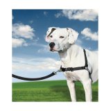 Rem til kledyr PetSafe Easy Walk Sort Medianav (M) #3