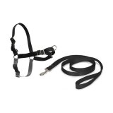 Rem til kledyr PetSafe Easy Walk Sort Medianav (M) #1