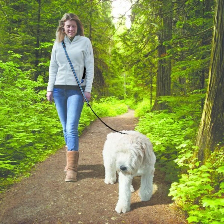 Strop Kurgo Quantum Bl Nylon #6