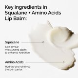 Fugtgivende Fodcreme The Ordinary SQUALANE + AMINO ACIDS #2