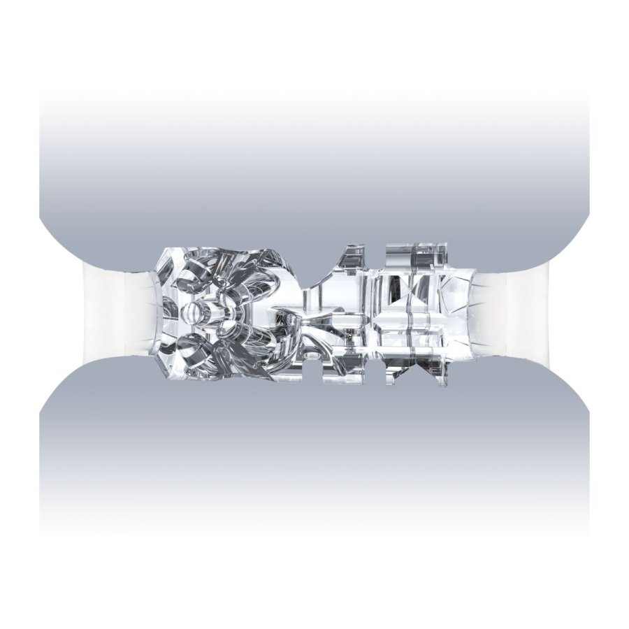 Masturbator Riley Reid Compact Fleshlight #4