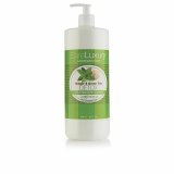 Bodylotion Morgan Taylor Detox 946 ml Ingefr Grn Te Detox #1