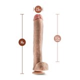 Realistisk Dildo Blush Dr Skin PVC  6,3 cm #3