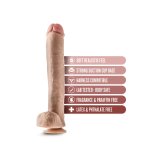 Realistisk Dildo Blush Dr Skin PVC  6,3 cm #5