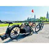 Stang Burley BU-947108 #7