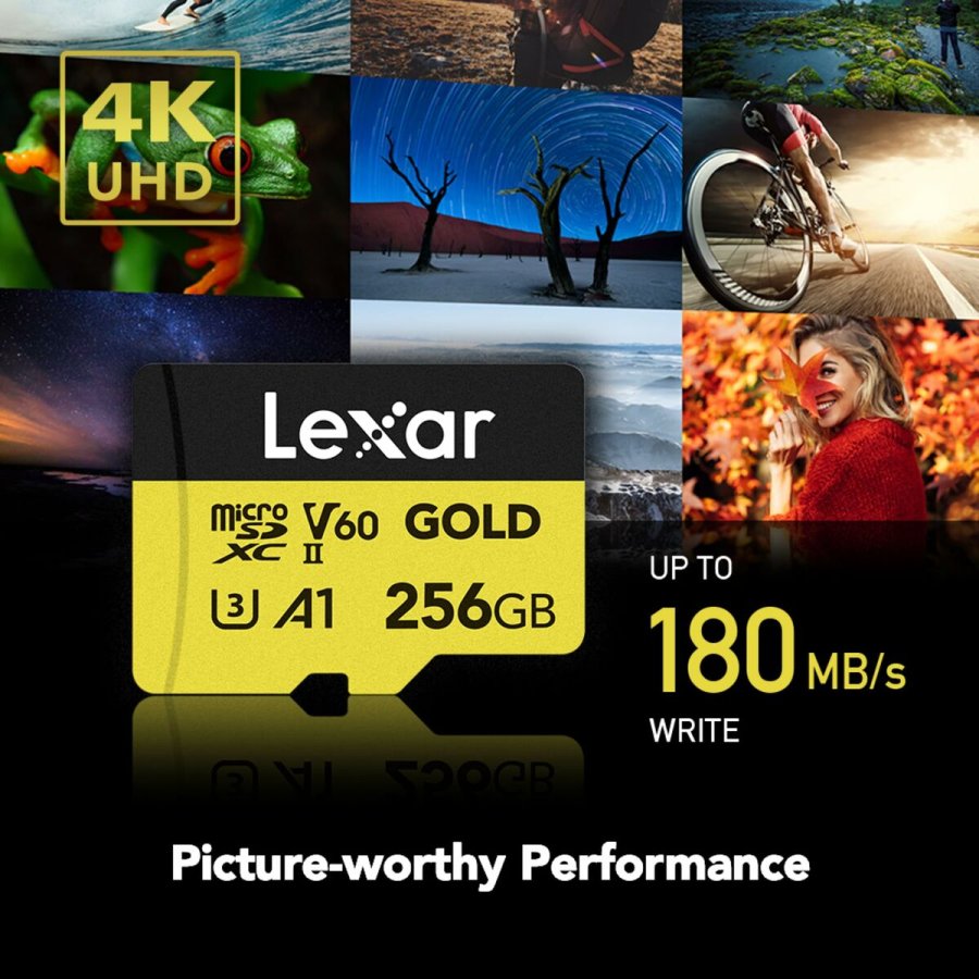 SD-hukommelseskort Lexar LMSGOLD256G-BNNNG 256 GB #7