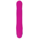 G-Punkt Vibrator Evolved Rabbit Pink #11