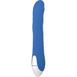 Vibrator Evolved Bl #11