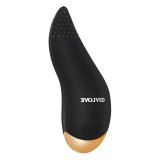 Massager Evolved Sort #9