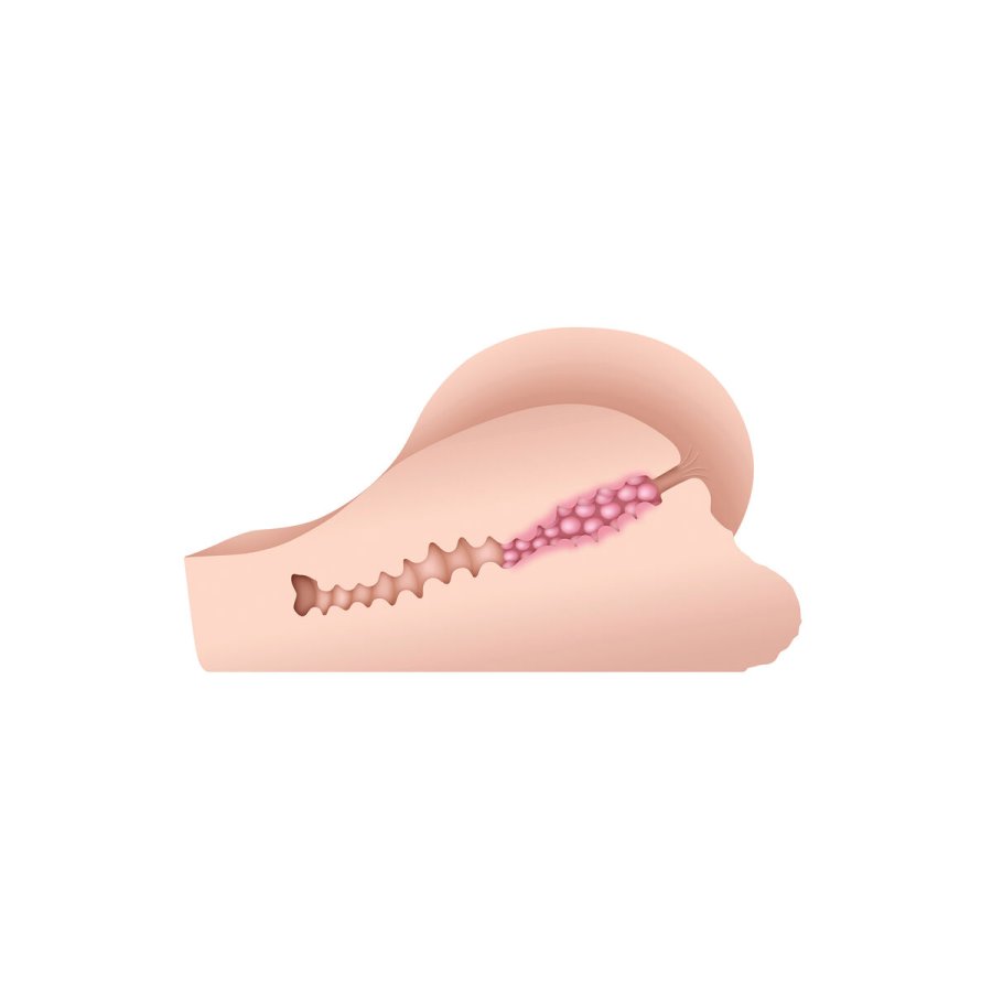 Udholdenhed Jack Ass Gender X Gender X Kd #13