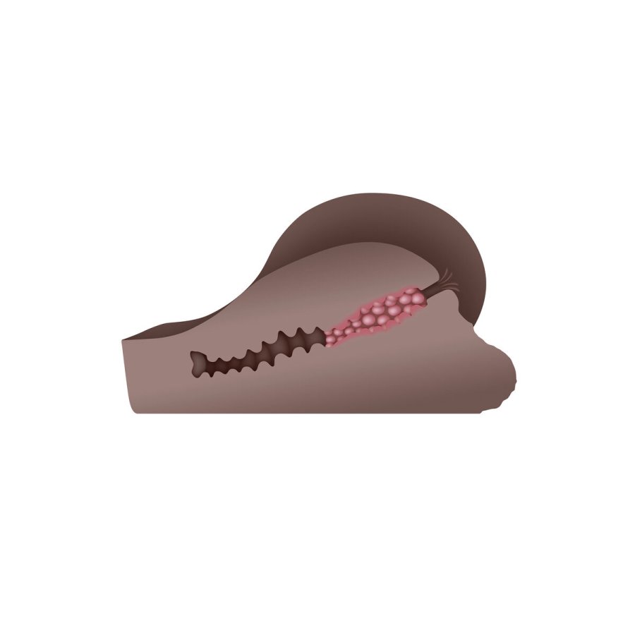 Udholdenhed Jack Ass Gender X Gender X Brun #9