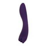Vibrator Evolved Lilla #1