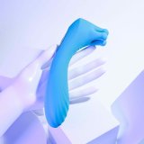 Vibrator Evolved Bl #13
