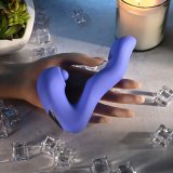 Vibrator Evolved Bl #13