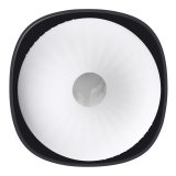 Udholdenhed Jack Ass Evolved Playboy #6