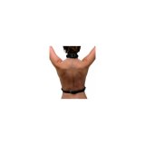 New Comers Rem XR Sort #4