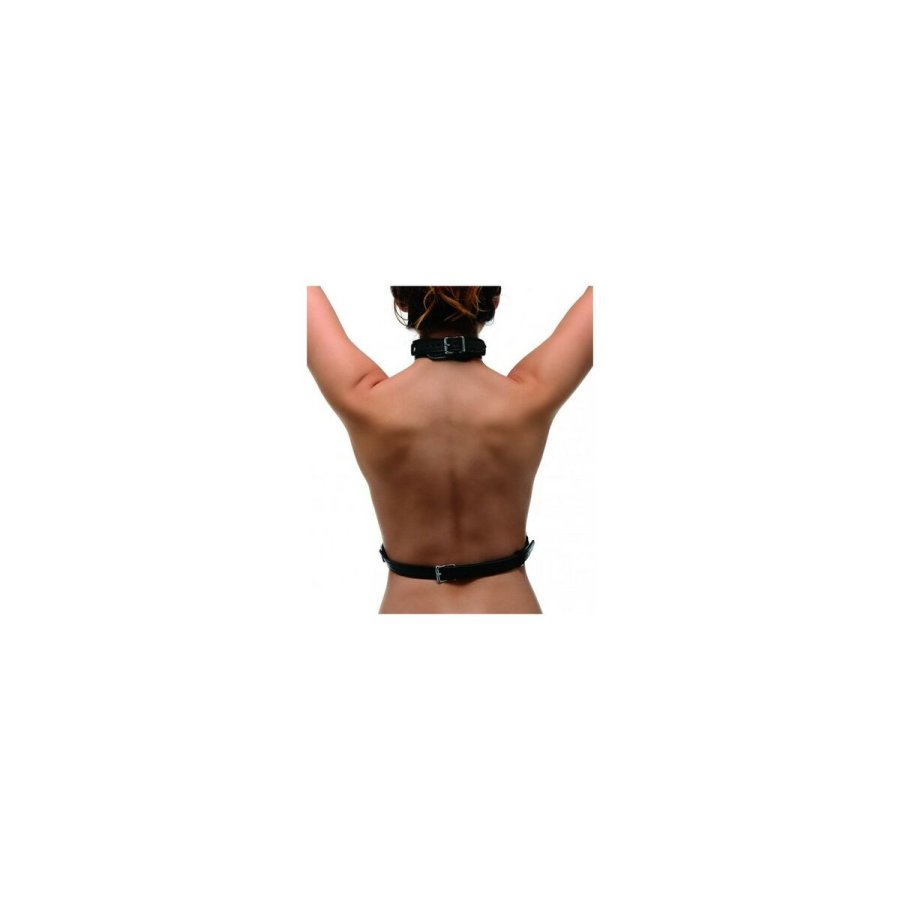 New Comers Rem XR Sort #4