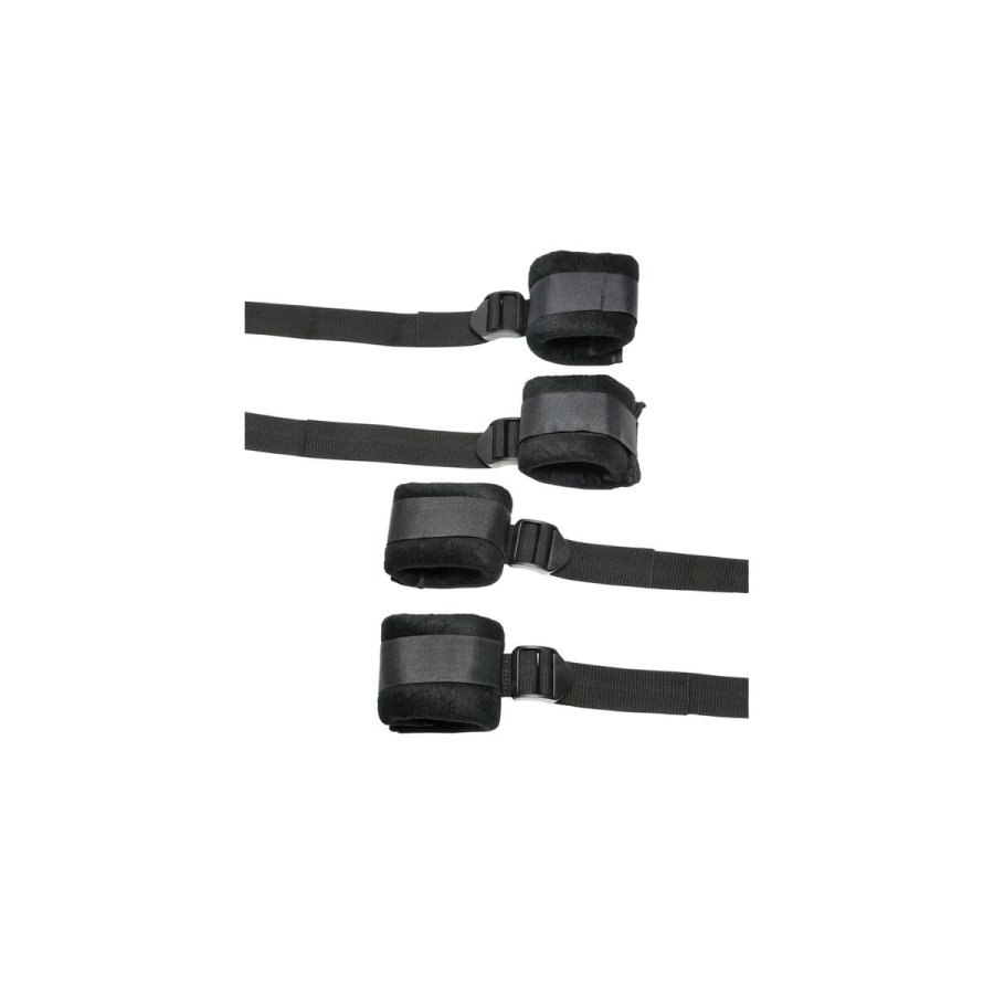 New Comers Rem XR Sort Seng #1