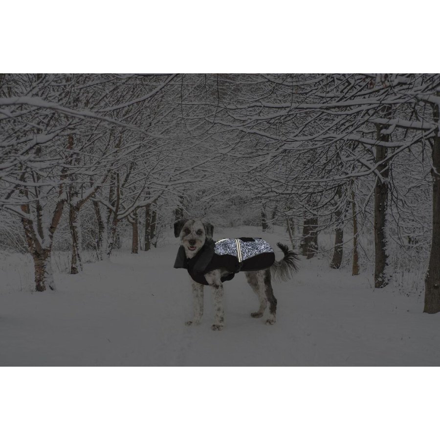 Hundefrakke Dog Gone Smart Sort 45 cm #2