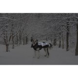 Hundefrakke Dog Gone Smart Sort 60 cm #2