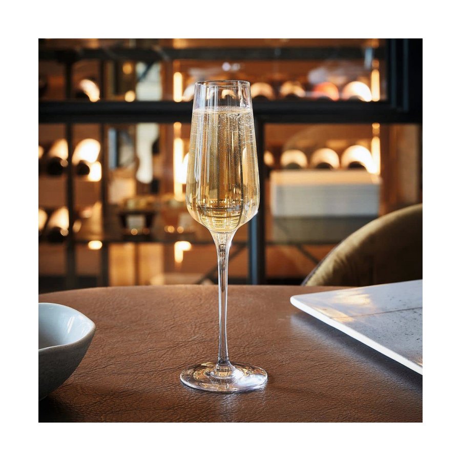 Champagneglas Chef & Sommelier 6 enheder Gennemsigtig Glas (21 cl) #10