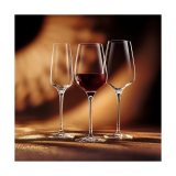 Champagneglas Chef & Sommelier 6 enheder Gennemsigtig Glas (21 cl) #13