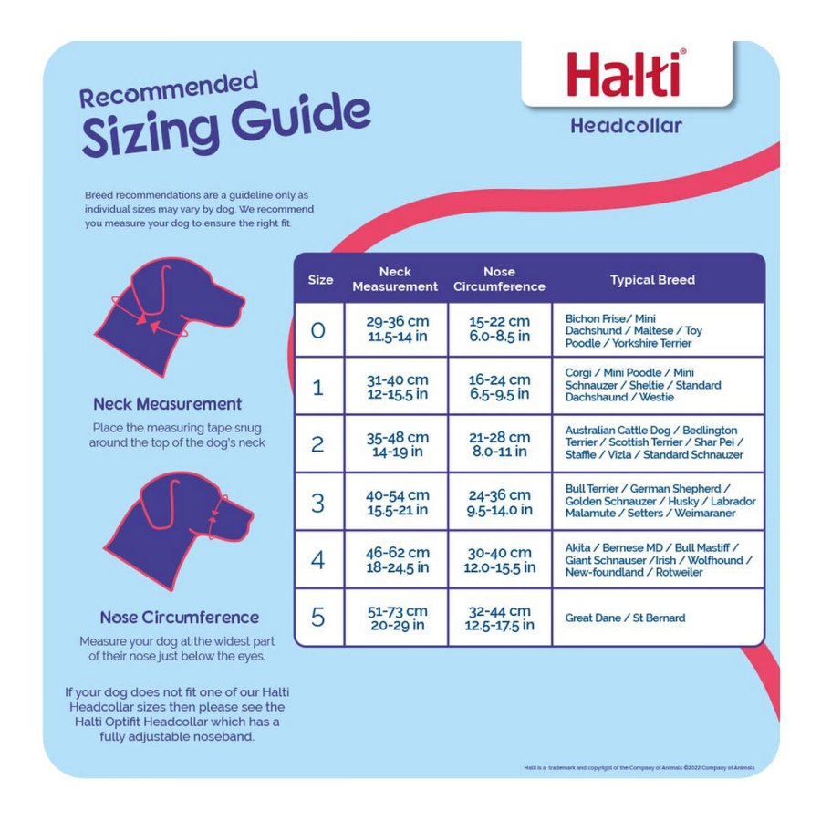Hundetrning kraver Company of Animals Halti Sort Mundkurv (29-36 cm) #7