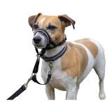 Hundetrning kraver Company of Animals Halti Sort Mundkurv (31-40 cm) #7