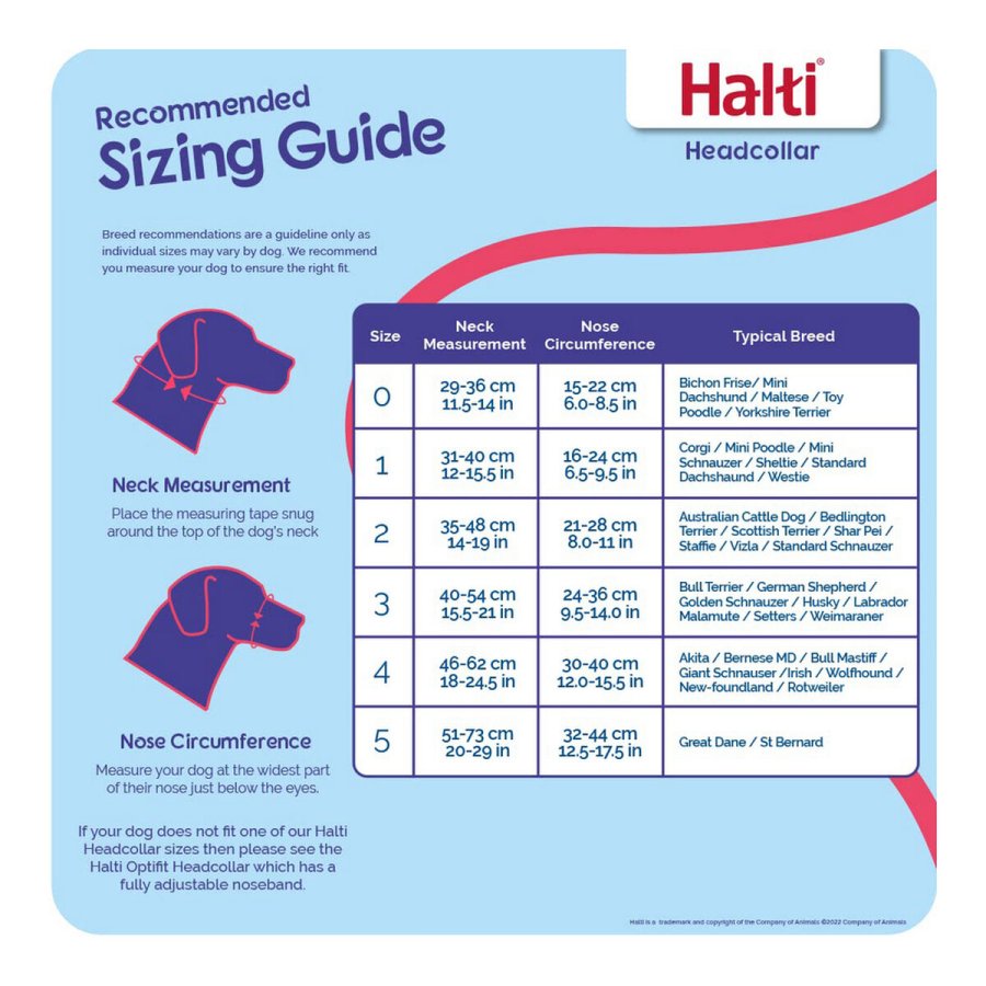 Hundetrning kraver Company of Animals Halti Sort Mundkurv (31-40 cm) #3