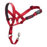 Hundetrning kraver Company of Animals Halti Mundkurv (40-54 cm) #1