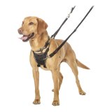 Hundesele Company of Animals Halti Strrelse M (34-56 cm) #2