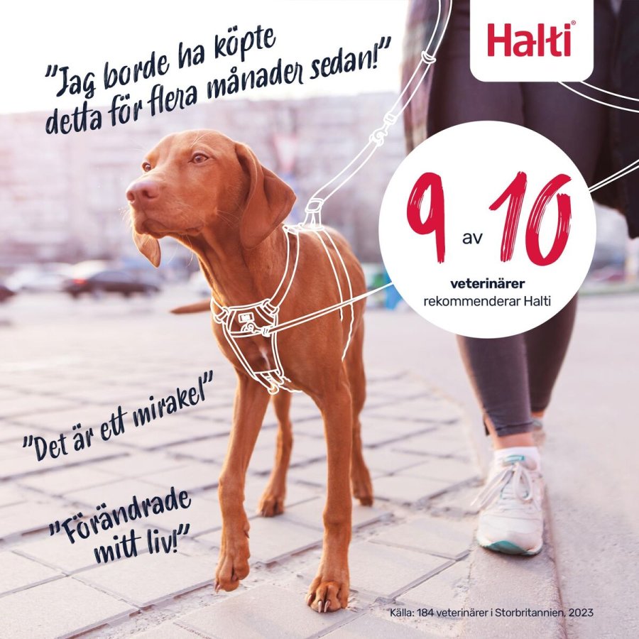 Hundesele Company of Animals Blue 20 #6