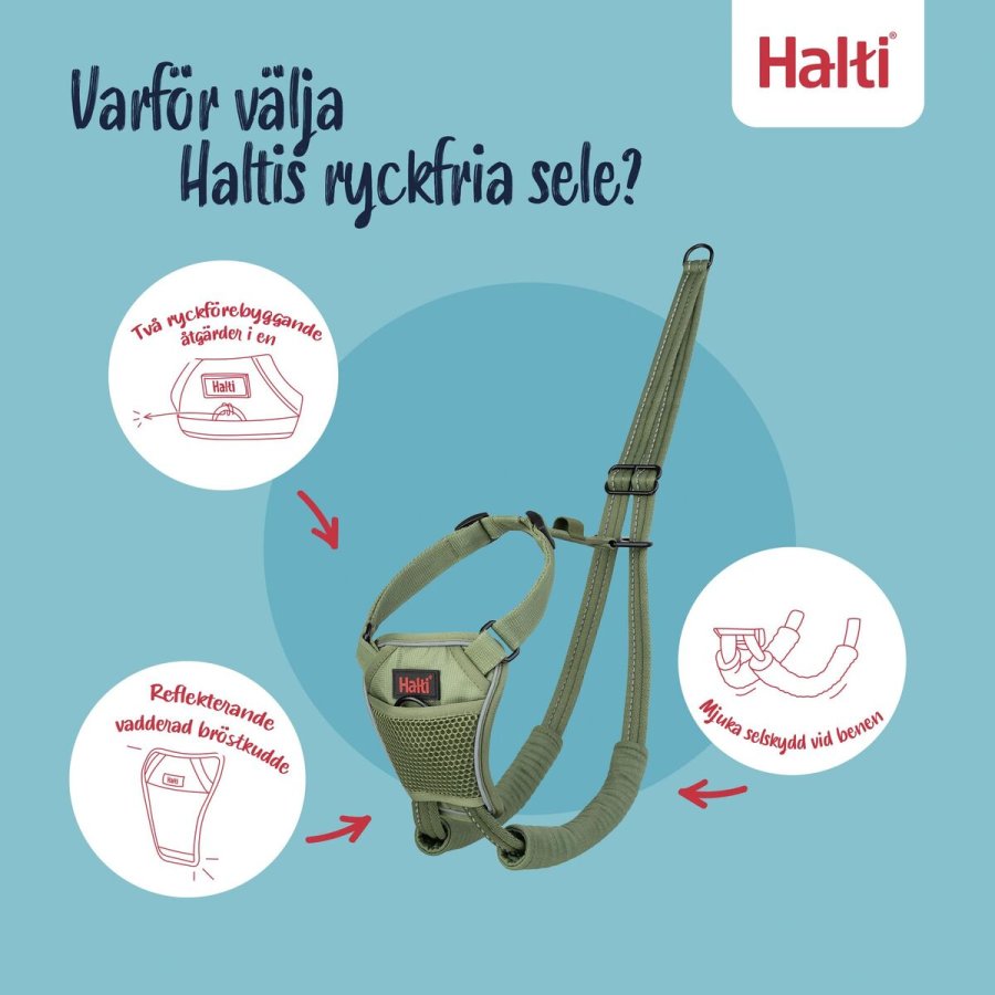 Hundesele Company of Animals FOREST Grn 12 #3