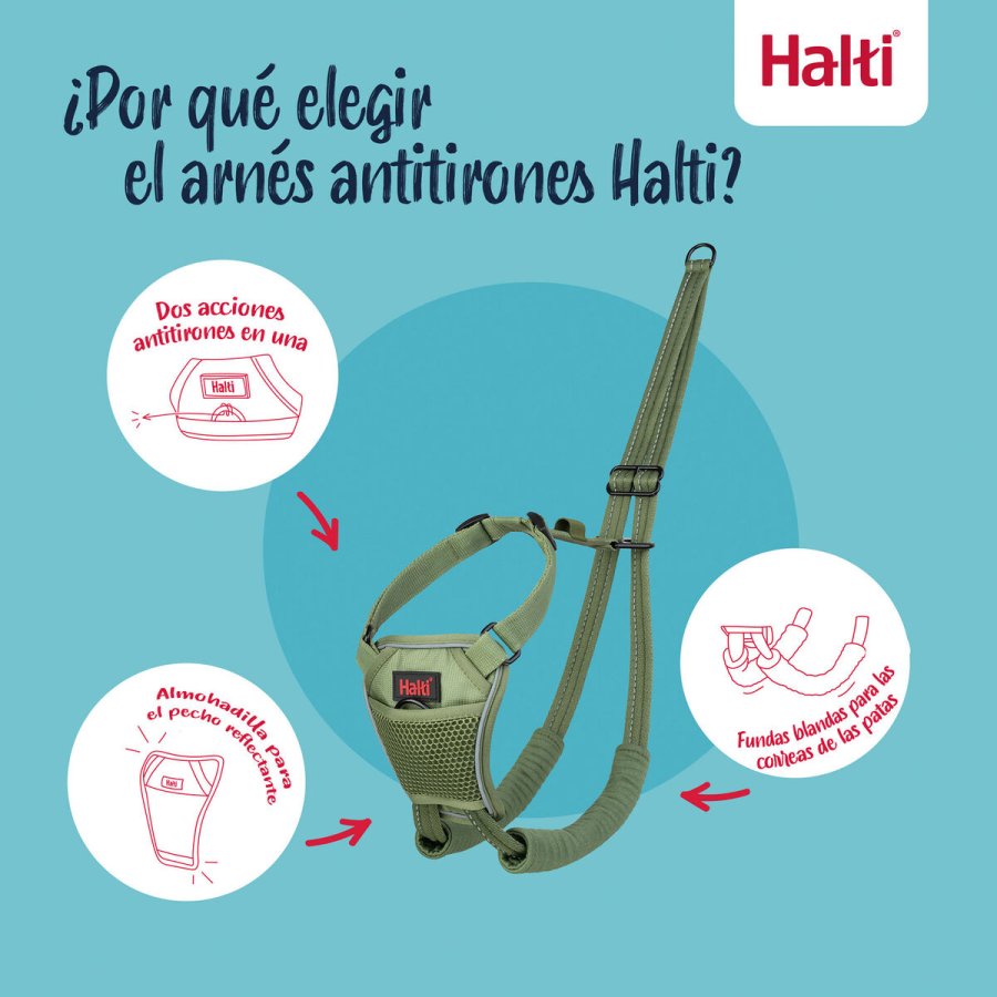 Hundesele Company of Animals FOREST Grn L #2