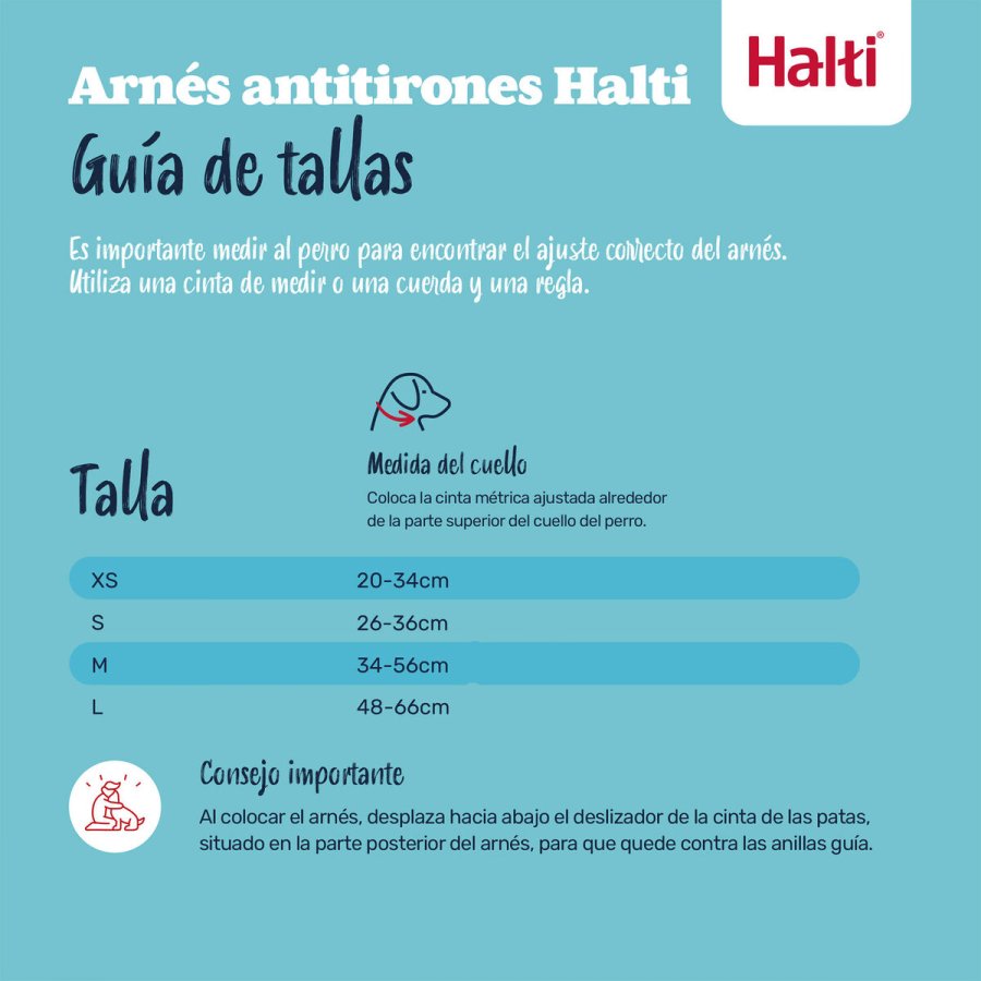 Hundesele Company of Animals BURNT Orange 12 #4