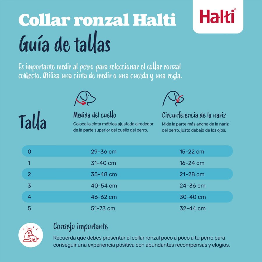 Mundkurv Company of Animals COBALT Bl Strrelse 1 #2