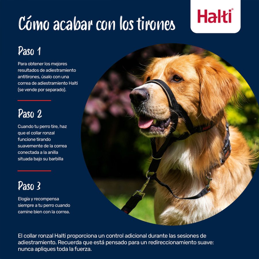 Mundkurv Company of Animals COBALT Bl Strrelse 1 #3