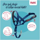 Mundkurv Company of Animals COBALT Bl Strrelse 1 #7