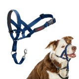 Mundkurv Company of Animals COBALT Bl 2 #1